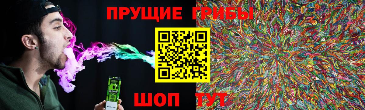 Псилоцибиновые грибы мицелий  Галлюциногенные грибы Cubensis  Карабулак  Вход с VPN 
