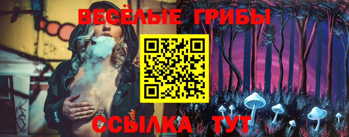 Галлюциногенные грибы GOLDEN TEACHER Карабулак